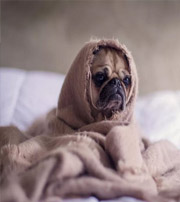 莱芜有这样的手机号码，留不住钱，你中枪了吗？