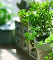 莱芜专属于你的开运指南，助你鸿运当头福满身！