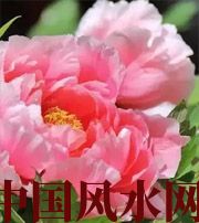 莱芜预示你财运上升，姻缘可成的梦境，快来看看吧！