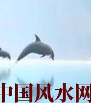 莱芜做梦梦到这些，是要富裕的征兆！